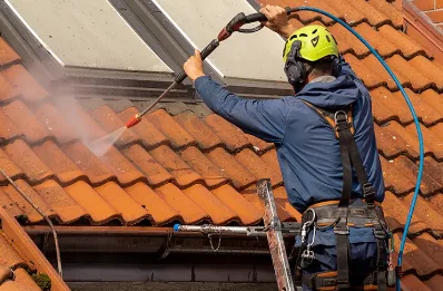 Démoussage et hydrofuge de toiture à Vichères